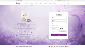 電商官網網站設計欣賞