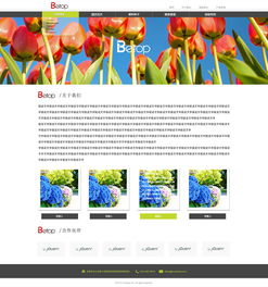 易站云案例展示 衣服輔料公司網站建設實踐